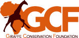 Logo GCF