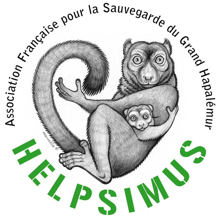Logo Helpsimus