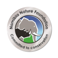 Logo NNF