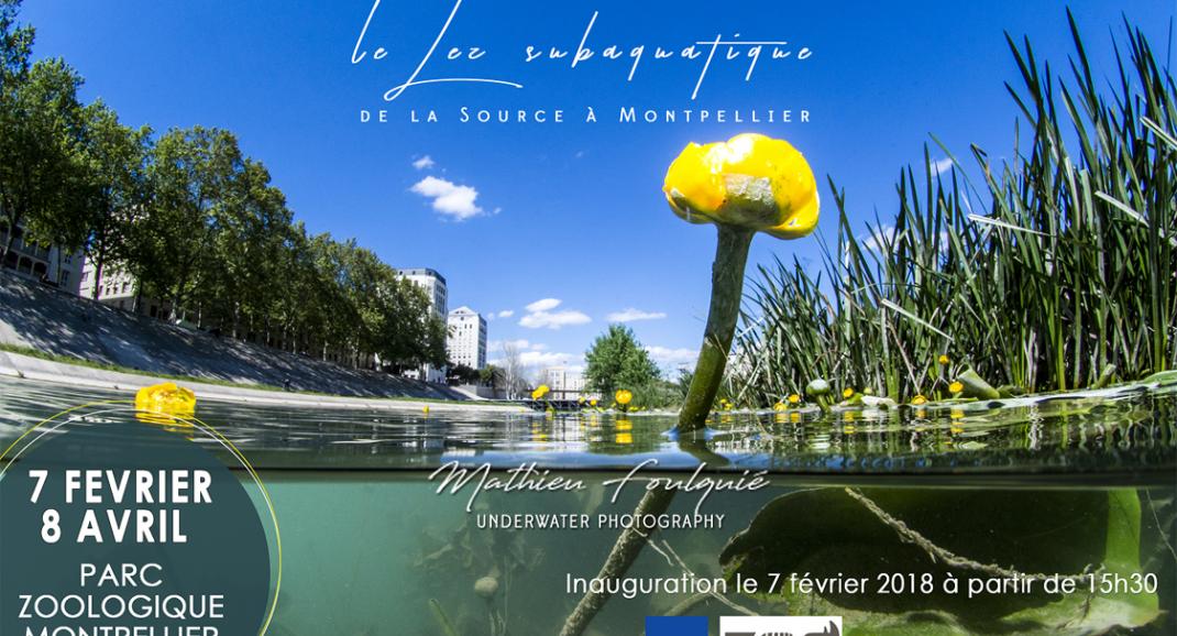 Exposition de photos "le Lez subaquatique par Mathieu Foulquié"