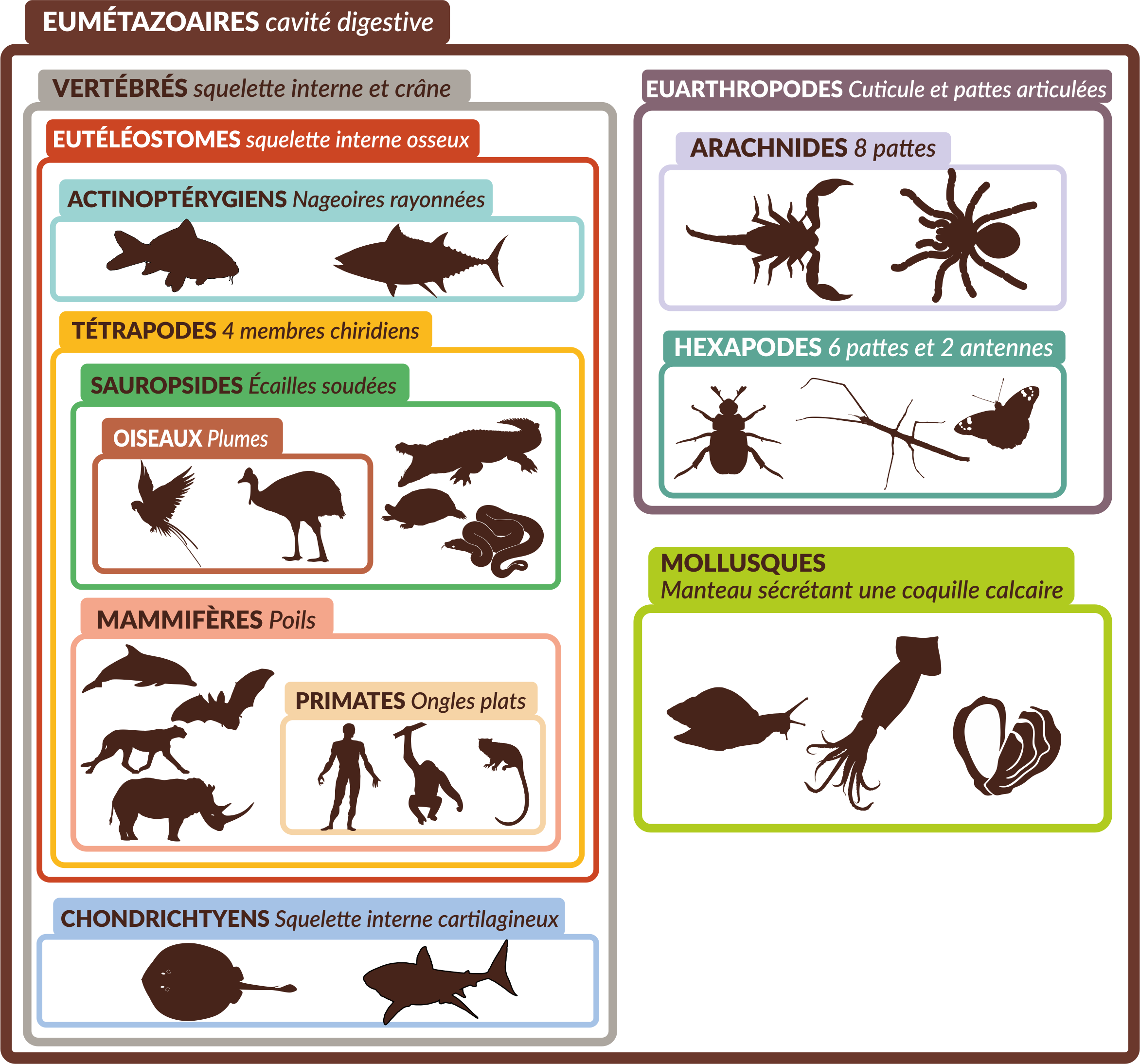 exemple de classification emboîtée