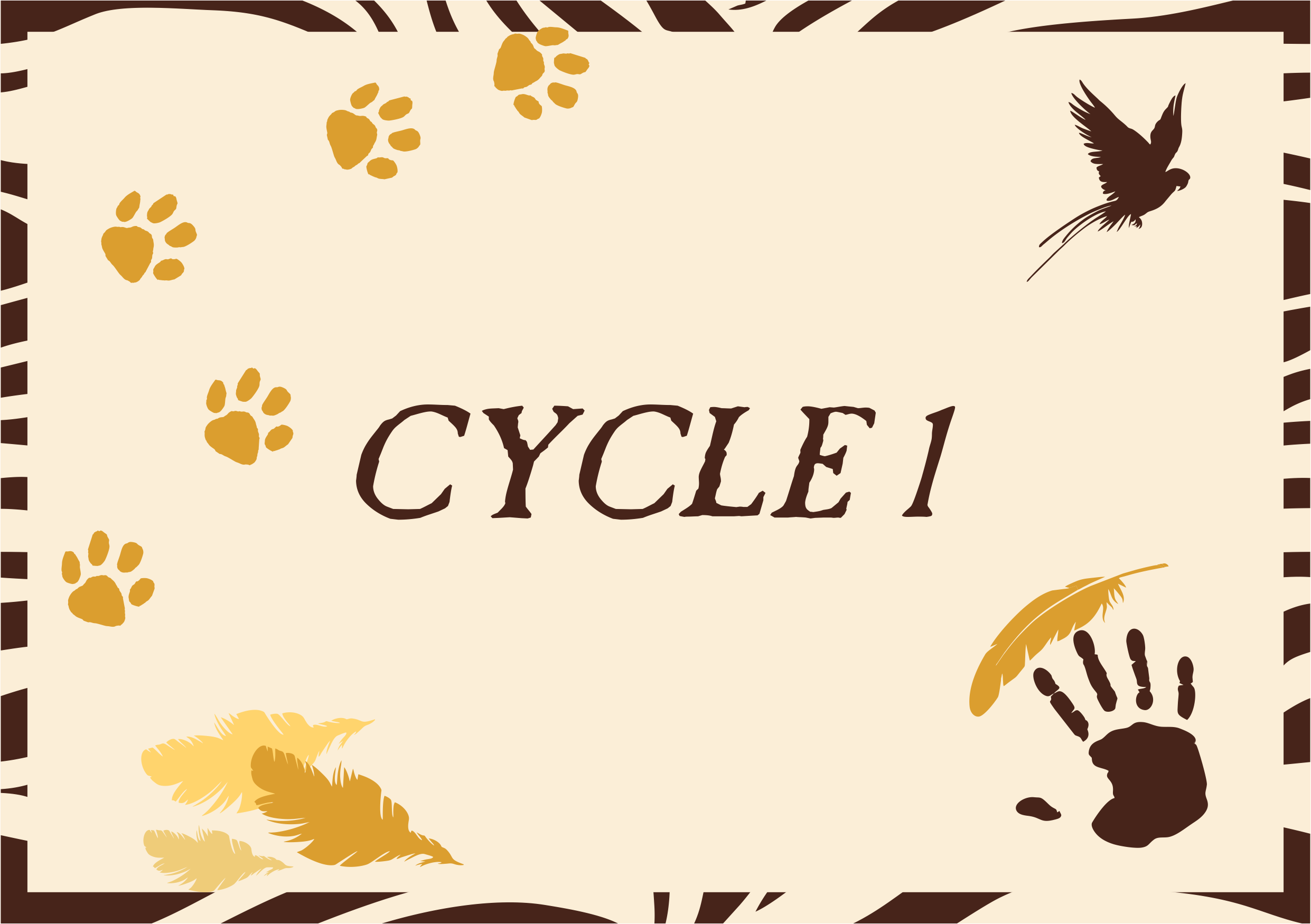 Cycle 1