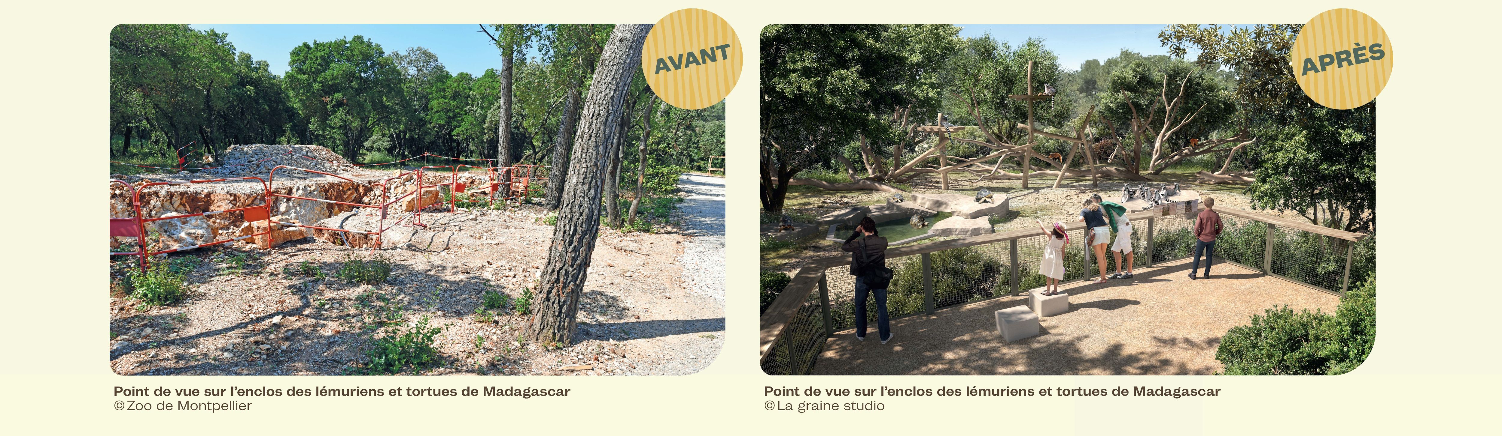 Photo d'une zone en travaux et vue sur le futur enclos mixant lémuriens et tortues rayonnées