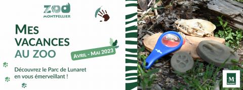 bannière programmation vacances printemps zoo 2023