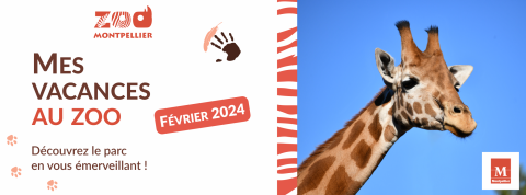 bannière visuelle vacances de février 2024 avec une girafe du zoo de Montpellier.