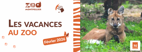 Bannière des vacances de février 2026 au zoo