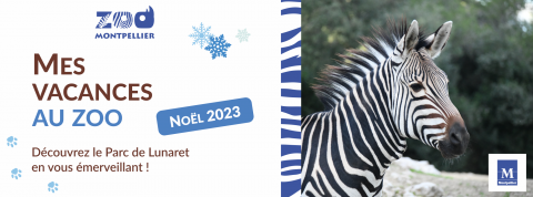 Bannière programmation de Noël 2023