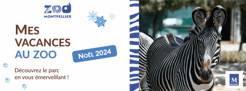 visuel de noël 2024