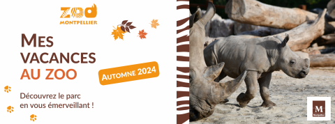 bannière vacances zoo Montpellier, avec bébé rhincocéros blanc