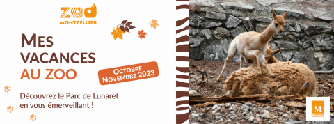 Visuel programme vacances automne 2023