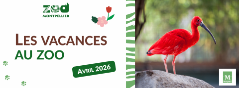 Bannière des vacances de printemps 2026 avec un ibis rouge