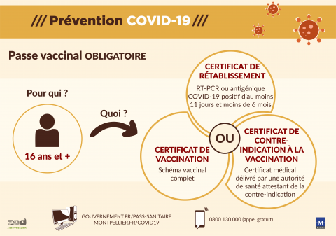 Schéma explicatif du passe vaccinal : vaccination complète ou rétablissement de la maladie, ou certificat de contre-indication