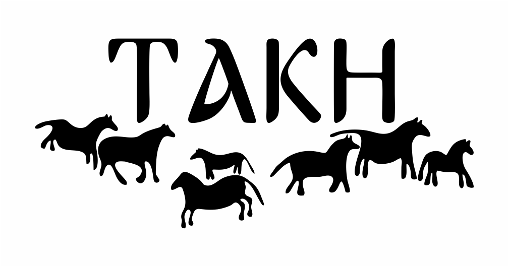 Logo de l'association takh